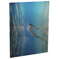 Chromaluxe Silver Aluminium Photo Panel (Gloss, Matte, Semi-Gloss)
