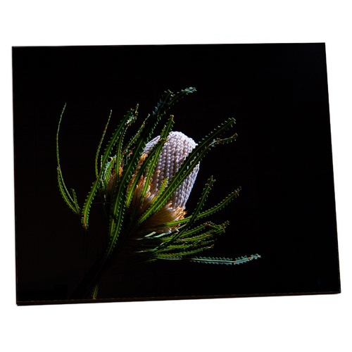 Chromaluxe 4823 Textured MDF 5" x 7" Photo Panel