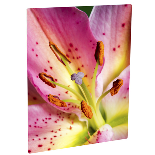 ChromaLuxe Matte White Aluminium Photo Panel