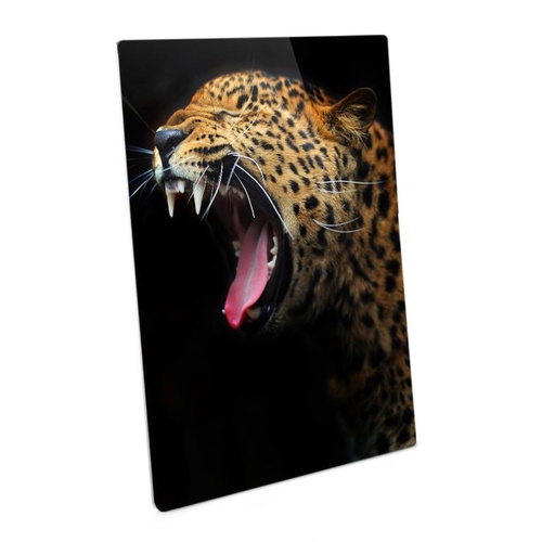 ChromaLuxe Semi Gloss White Aluminium Photo Panel