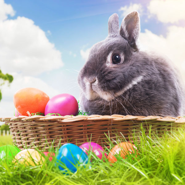 2019 Easter and Anzac Day trading hours image